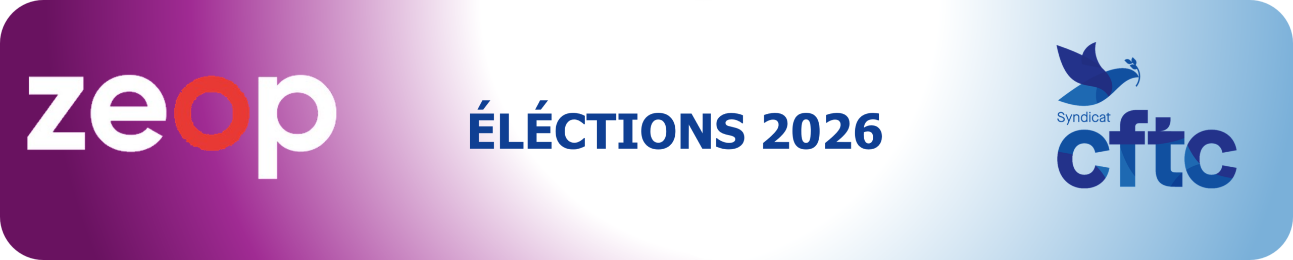 Elections 2026